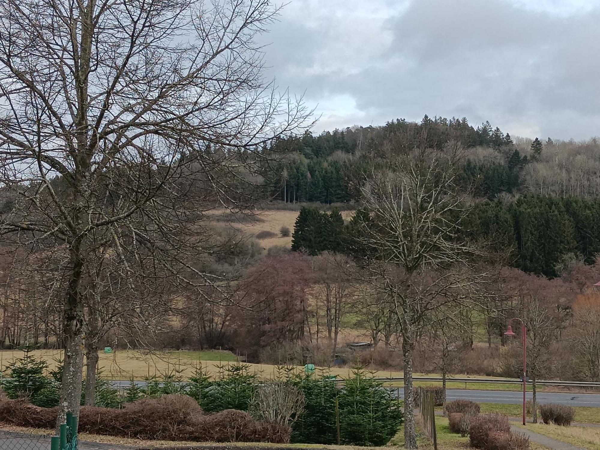 Ferienwohnung Schwarzenbergblick Kelberg Kültér fotó